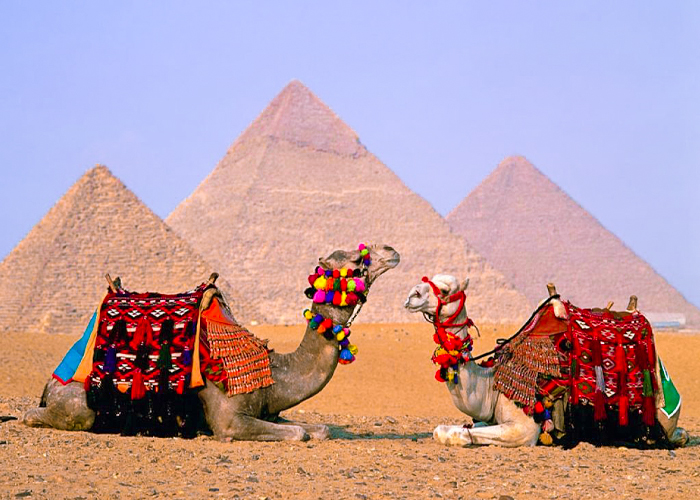 5 Days Private Cairo and Alexandria Tours Package